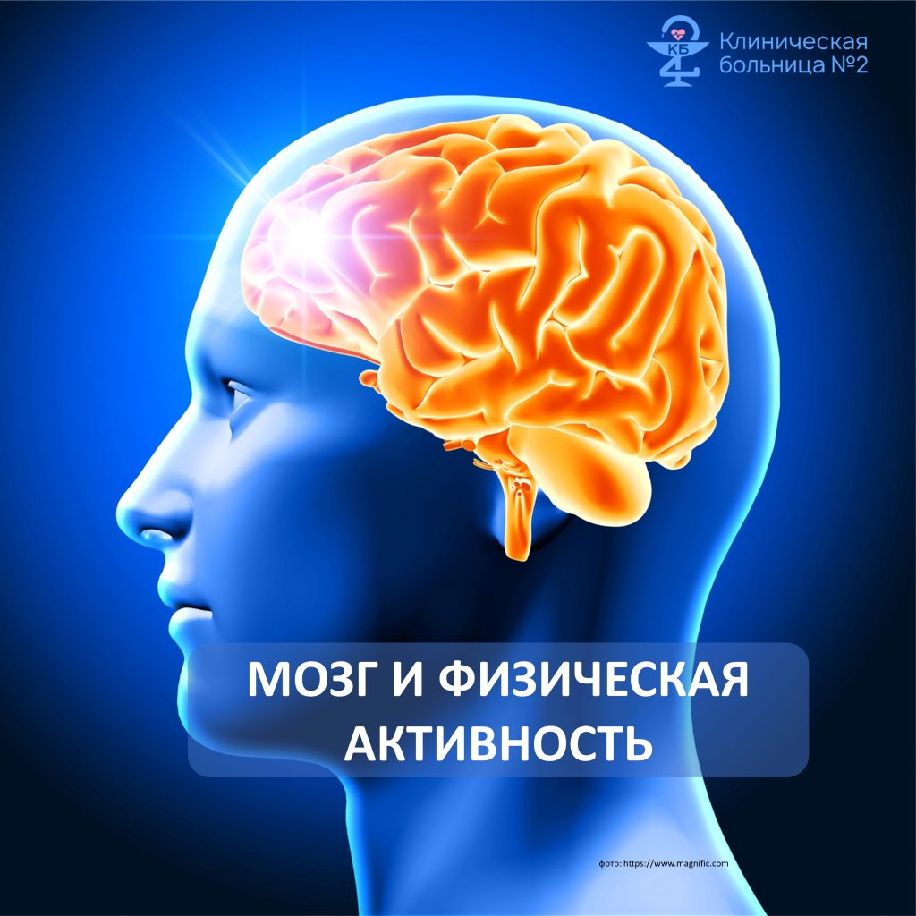 Мозг и спорт