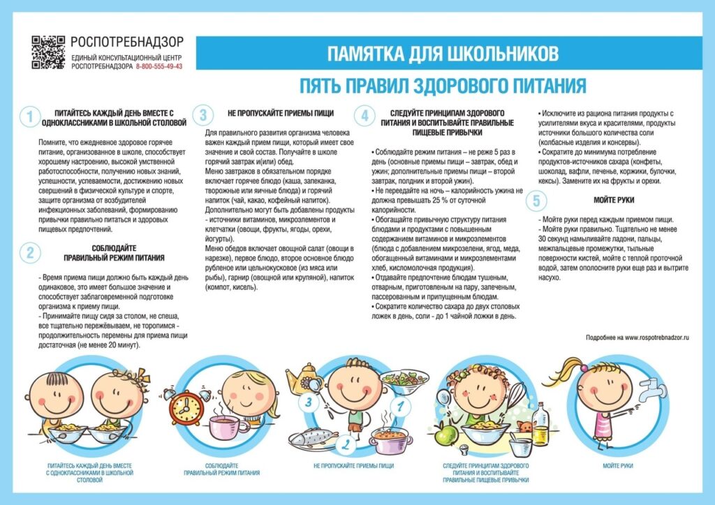 Питание школьника: рекомендации Роспотребнадзора и практические советы для родителей
